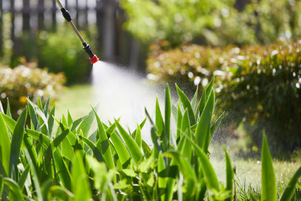 Tamper-Resistant Bait Stations for Rodents in Cypress