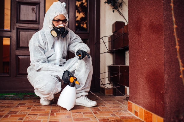 Attic and Crawl Space Rodent Treatment in Cypress